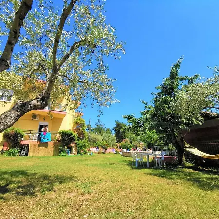 Zako Лименария